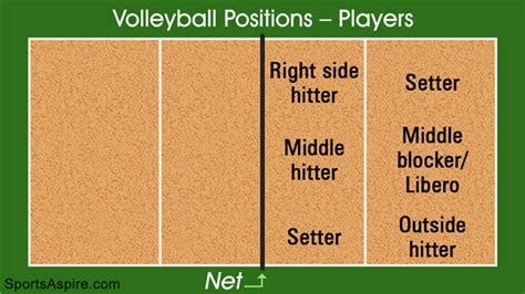 Volleyball Positions On The Court Every Player Should Know Sports Aspire