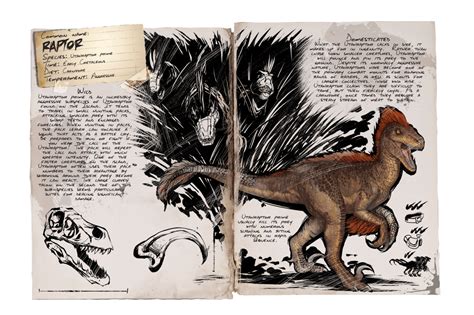 While it is better to have help, it is very easy to do alone. Raptor - Official ARK: Survival Evolved Wiki
