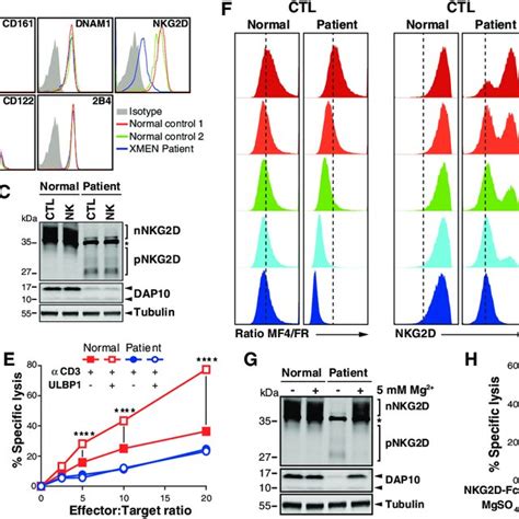 Pdf Mg2 Regulates Cytotoxic Functions Of Nk And Cd8 T Cells In