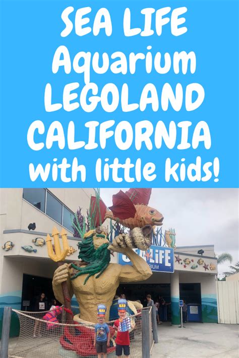 Sea Life Aquarium At Legoland California With Little Kids Legoland