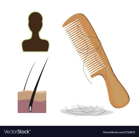 Hair Loss Royalty Free Vector Image Vectorstock