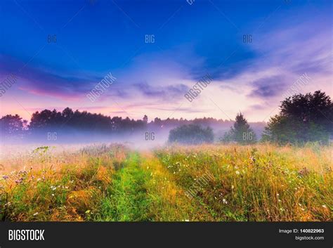 Wild Foggy Meadow Image And Photo Free Trial Bigstock