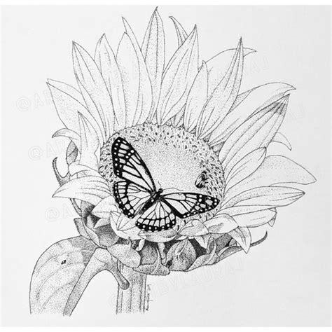 Butterfly On Sunflower Fine Art Print Etsy