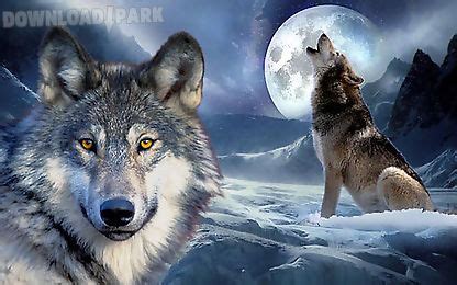 Brown and black wolf digital wallpaper, artwork, planet, space. 3d wolf wallpapers Android Anwendung Kostenlose ...