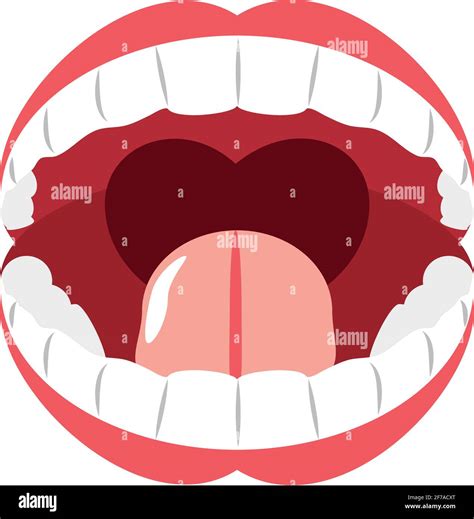 Human Mouth Anatomy Stock Vector Image And Art Alamy