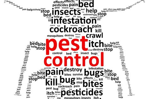 2 Reasons You Need Professional Pest Control Pest Termite Control