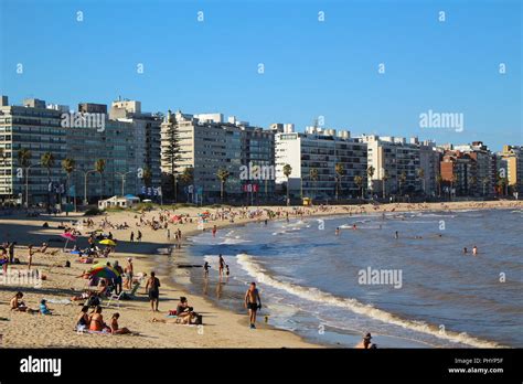 People Enjoying The Beach In Montevideo Uruguay South America Stock