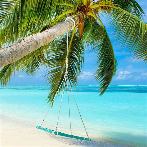 Maldives Beach Holidays 2021 2022 Travelbag