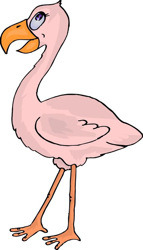 Cartoon Flamingo How To Draw A Cute Flamingo Clip Art