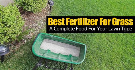 Preparing homemade organic fertilizer can make your household waste such as wood ashes, animal manures and plant scraps very useful. Homemade Grass Fertilizer Recipe - Besto Blog
