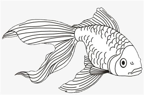 This goldfish in a fish bowl coloring page is a great activity for kids who love to color fish. Goldfish Coloring Page Png & Free Goldfish Coloring Page ...
