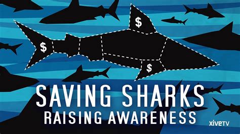 Watch Saving Sharks Raising Awareness Prime Video