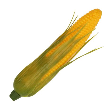 Babariol Artificial Corn Lifelike Simulation Fake Vegetable Corn 3