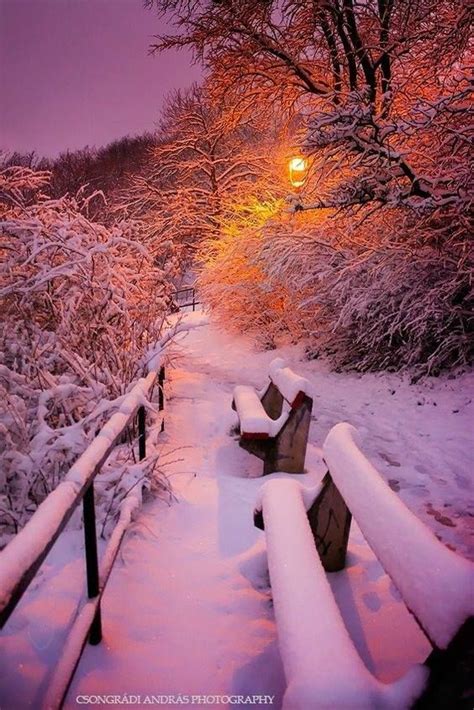 Snowy Morning More Winter Photography Landscape Photography Nature