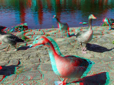 Amazing 3d Pictures Red Cyan ~ Conexao 560