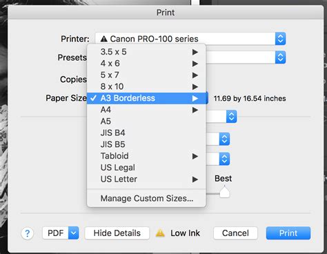 Issues Printing With Canon Pixma Pro 100 Paper Size