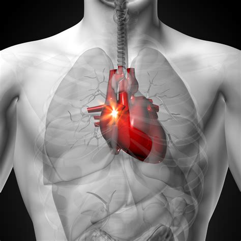 The 4 Heart Problem Symptoms You Shouldnt Ignore University Health News