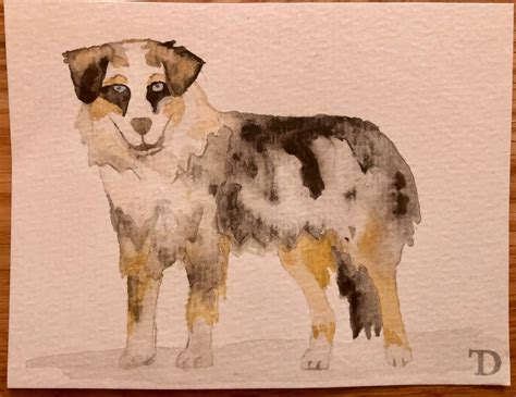 Watercolor Watercolour Australian Shepherd Dog Etsy
