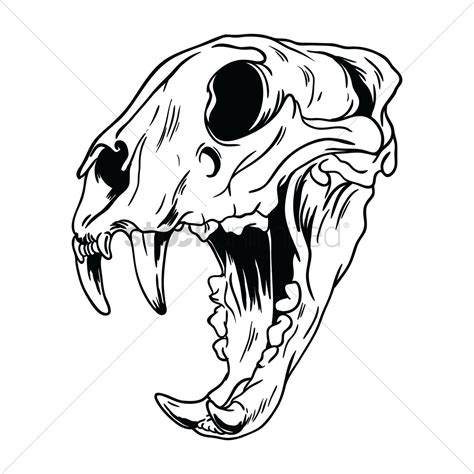Saber Tooth Tiger Skull Drawing Treelineartillustration