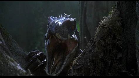 Jurassic Park 3 Velociraptor Video