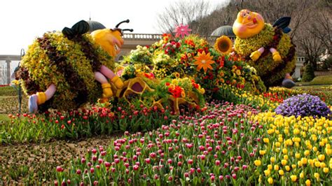 Tanaman hias bunga merupakan tanaman hias yang banyak digandrungi oleh penggemar tanaman bunga. Taman Menawan Pewarna Musim Panas Korea - Travel Pelopor ...