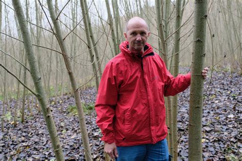 Bäume zählen zu einem der wichtigsten bestandteile des ökosystems und stehen unter einem bestimmten schutz. Baum Fällen Genehmigung Österreich : Baumfallgenehmigung ...