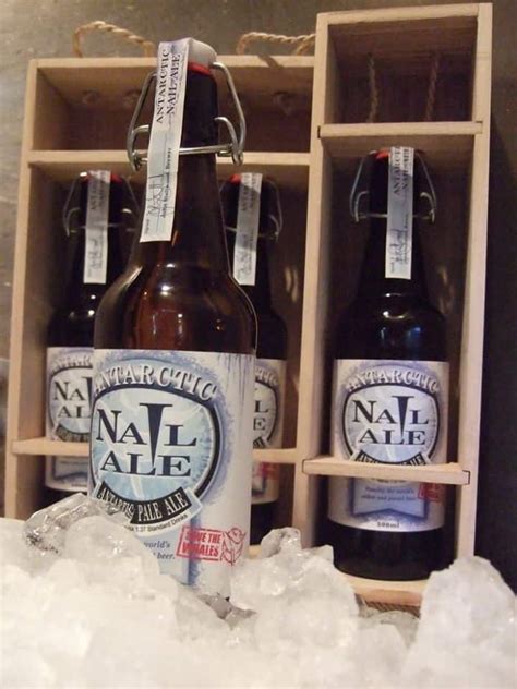 10 Most Expensive Beers In The World Today Za