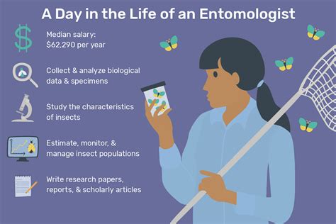 Entomologist Job Description Salary Skills And More