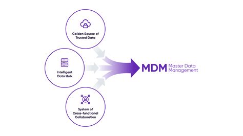 What Is Master Data Management Mdm A Beginners Guide