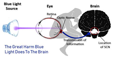 How Does Blue Light Affect Your Brain Iristech