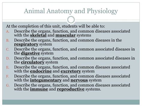 Animal Anatomy And Physiology