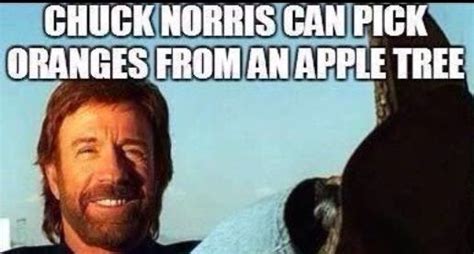 Pin By Blue Cheese On Chuck Norris Memes Without Bottom Text Chuck