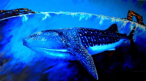 Blue And White Whale Photo Hd Wallpaper Wallpaper Flare