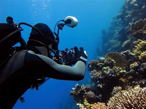 Best Underwater Cameras And Accessories Buying Guide Aquaviews
