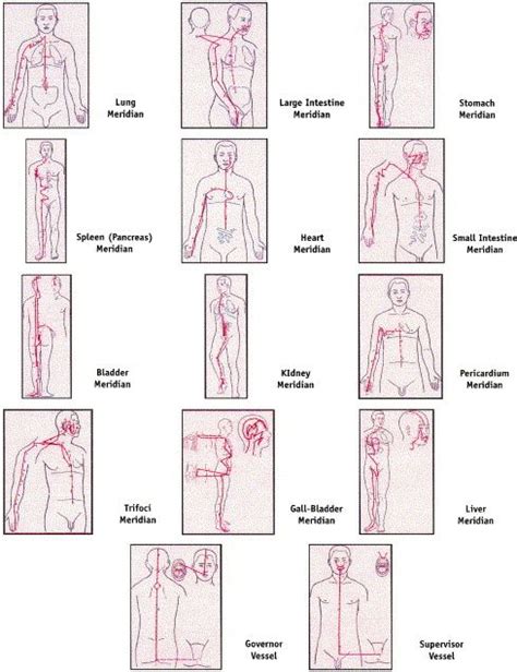 Overview All Acupuncture Meridians Acupuncture Acupressure Shiatsu Massage