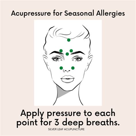 Seasonal Allergy Relief With Acupuncture Silver Leaf Acupuncture