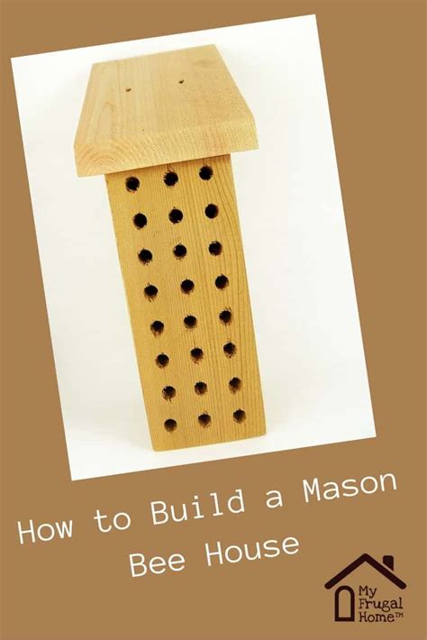 How To Build A Mason Bee House Mason Bee House Bee House Mason Bees