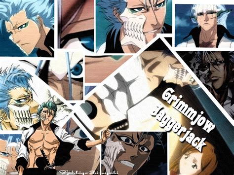 Grimmjow Grimmjow Jeagerjaques Wallpaper Fanpop Page