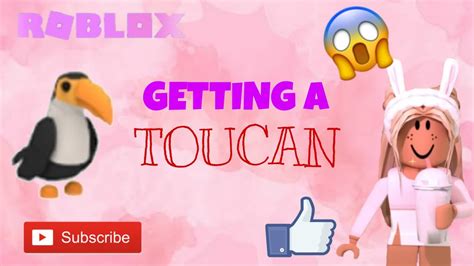 Getting A Toucan In Roblox Adopt Me Youtube