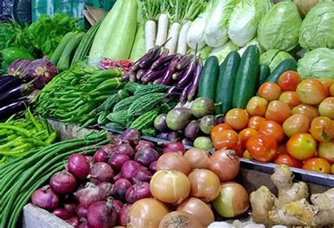 Vegetable Root Crops Post Higher Q2 Yield Agriculture