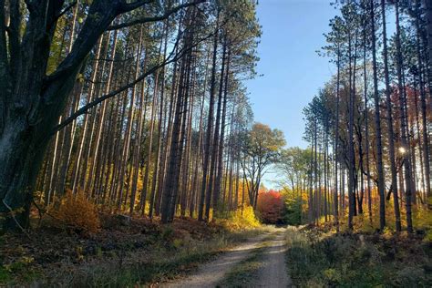 10 Northern Michigan Spots To See The Best Fall Colors