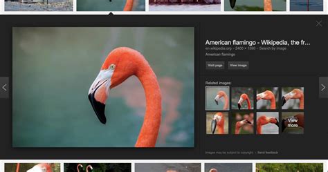 We did not find results for: Src images branding googlelogo 2x googlelogo_color ...