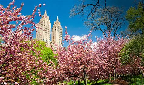 The Best Ways To Experience New York This Spring Daily Mail Online