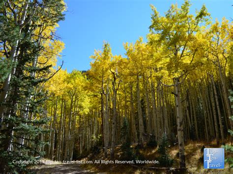 A Beautiful Autumn Walk Along Flagstaffs Inner Basin Trail Top Ten