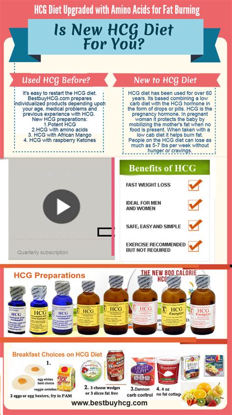 Infographic Is The New Hcg Diet For You