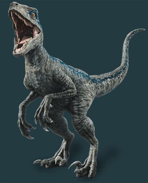 Dino Battles Velociraptor Blue Vs Atrociraptor Scan Code Dna Scan Codes For The Jurassic