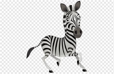 Zeichentrickfilm Animiertes Zebra S Animiert Animierte Zebra