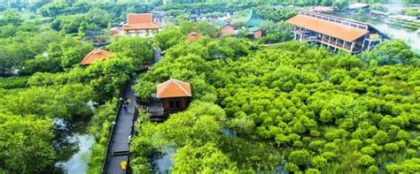 Taman Bakau Wonorejo Wisata Hutan Mangrove Surabaya Khas Surabaya