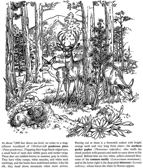 Welcome To Dover Publications