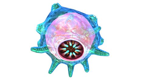 Floater Subnautica Wiki Fandom